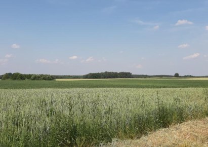 działka na sprzedaż - Włoszakowice, Jezierzyce Kościelne